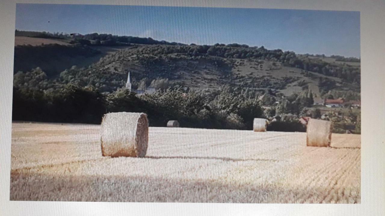 Studio Du Gite Wavrans-sur-l'Aa 외부 사진